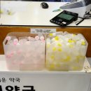 건강드림365약국 | 울산 북구 약국 일요일 약국 상비약구매 연중무휴 약국 추천 드림약국