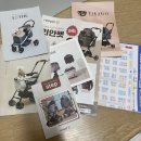 아로아(AROA) | [개모차/댕카]펫페어 개모차 낫쏘빅 아로아 내돈내산 후기