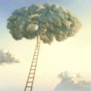 무괴아심 이미지