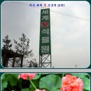 충남 아산 세계꽃 식물원 2012.2.23 일촬영★2편★ 이미지