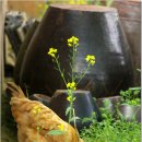 월선농장 이미지