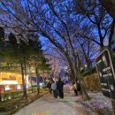 세븐일레븐 경의숲길점 이미지