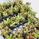 주식회사 건강돌봄 이미지