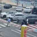 초록창가 사이 꽉 채워진 무지개(1)