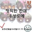 우성도예 콩나물시루 콩나물배지기 고정형 체험 후기