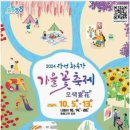 10월 19일(토) 장성황룡강 노란꽃잔치축제 /♡35,000.조중식(찰밥).36석리무진운행 이미지