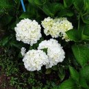 통영등대낚시공원 이미지