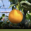 승환농장 이미지