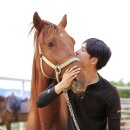 성운대학교 재활승마장 | 대구승마장 “비슬승마체험장” 도심속에서 즐기는 이색스포츠 승마체험 (아이와 가볼만한 곳 / 동물...