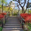 산철쭉어린이공원 이미지