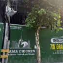 치킨파파 이미지