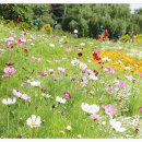 신흥근린공원 이미지