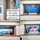 화성장안초등학교 이미지