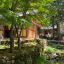 선희네야식 이미지