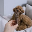 건강하개 수제간식 | 프리미엄 반려견 수제간식 기호성 좋은 더건강하개 오리목뼈 애견간식