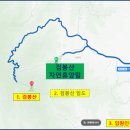 자연동침 이미지