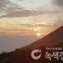 대율 이미지