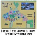 얼음왕국 세종331호점 | [내돈내산] 논산 덕바위마을, 아이와 눈썰매 타고 빙어잡기 한판!