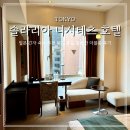 빅세일마트 맞은편(104) | 도쿄 긴자역 숙소 추천 5분 거리 솔라리아 니시테츠 호텔 더블룸 솔직후기