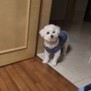 자두PC | 걱정하는 것을 걱정하지마🎤🎵