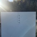 유유자적 | 남해 유유자적 카페유자 후기 유자카스테라 유자애플사이더 유자주스 맛집