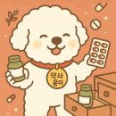 몽이야 | [상비약] 약사몽이의 약장 오픈! / 나만의 상비약 공유