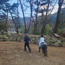 팜스프링 - 안산시 단원구 광덕2로 264 | 팜스프링
