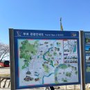 황포돛배 선착장 | 부여 가족 여행 구드래 나루터 선착장 황포돛배 체험 후기 !!