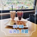 다옴식자재마트 이미지