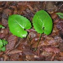 횡성휴게소(하) 이미지