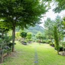 정선 황토 펜션 이미지