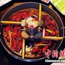 일품훠궈 Daum카페