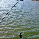 유정낚시터 이미지