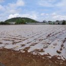 무릉리-8 이미지