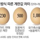 죽엽산농장 이미지