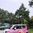 니멍내멍 이미지