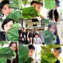 담양솔마루 이미지