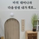 “ 견주들의 지갑 오픈｜일산 메가주 ”