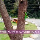 전용하 행정사 사무소 이미지