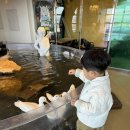 테이블에이 | 파주 데이트 실내동물원 “테이블에이” 평일 방문 후기