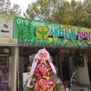 새마을청과