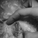 진현우동물병원 이미지