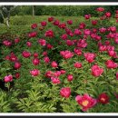 실내체육관 앞 이미지