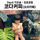 코다(CODA) | ✈️ 가오슝 마지막 날 필수 코스! 아이와 함께 CODA COffee 브런치 카페 후기 &amp; 가오슝 공항 김포 귀국