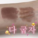 사   포 | 투슬래시포 립칠러 칠스톤 / 애쉬브라운 발색후기 + 립쉐이퍼 인모브