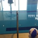 성미산차병원 이미지