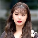 수진니트