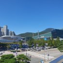 돌핀세척기 부산지사