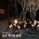 산소구이 | 일본 구마모토 료칸 산소 하나유 개인 노천탕 숙소 조식 후기