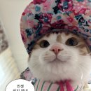 NR-43[호국로]-상-433 | 2025년 10월.zip